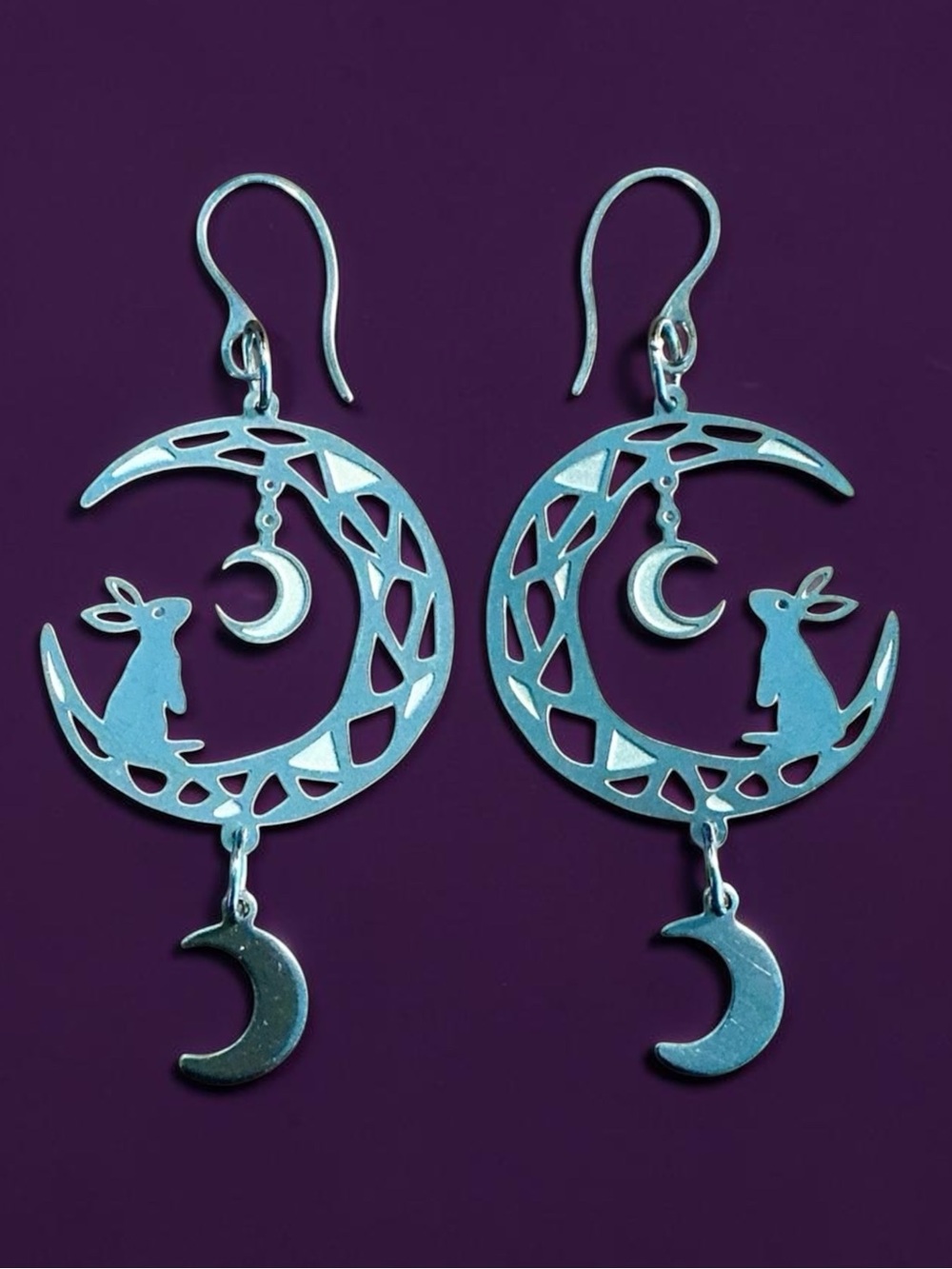 🆕 Rabbit Gazing at the Moon Laser Etched Earrings